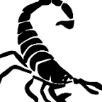 scorpion61